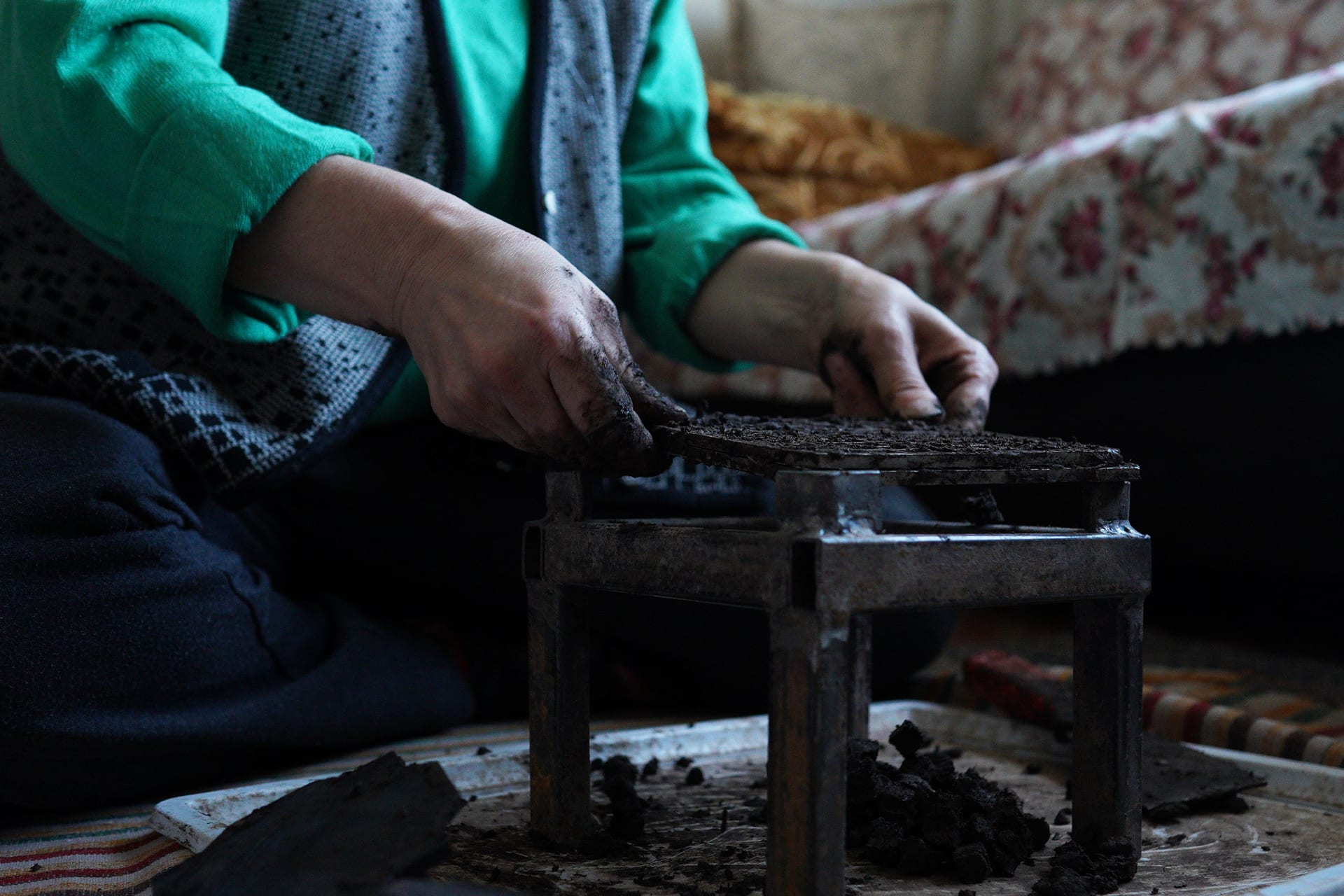 Hands sorting prepared seeds