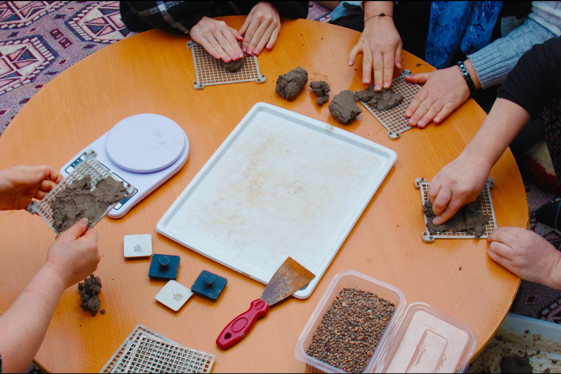 Seed samples and tools on a work table