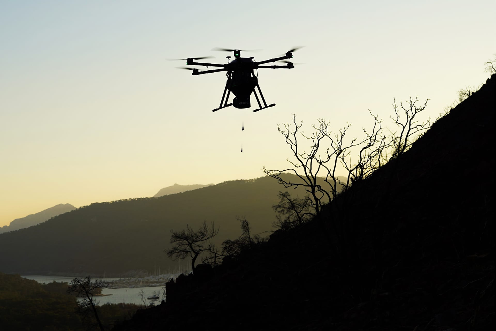 Yanmış bir yamacın üzerinde tohum topları bırakan ecoDrone