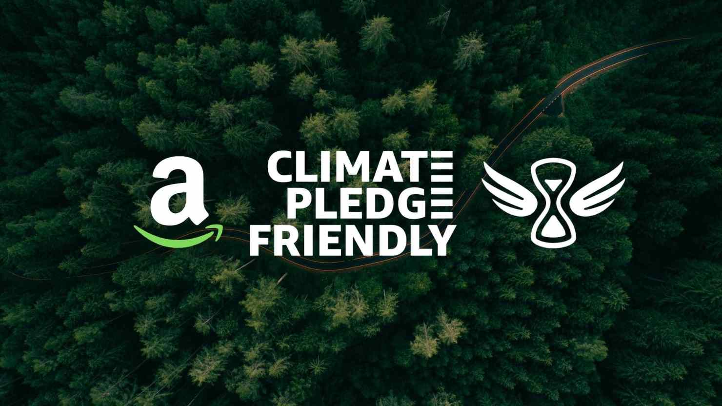 Amazon tree planting and sustainability initiative