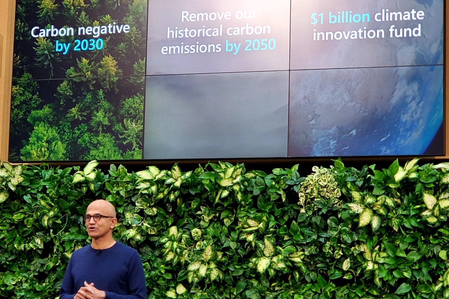 Microsoft tree planting and sustainability initiative