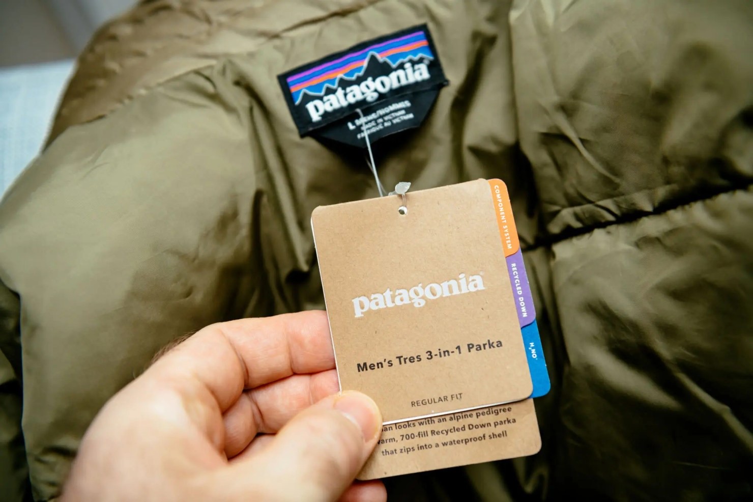 Patagonia tree planting and sustainability initiative