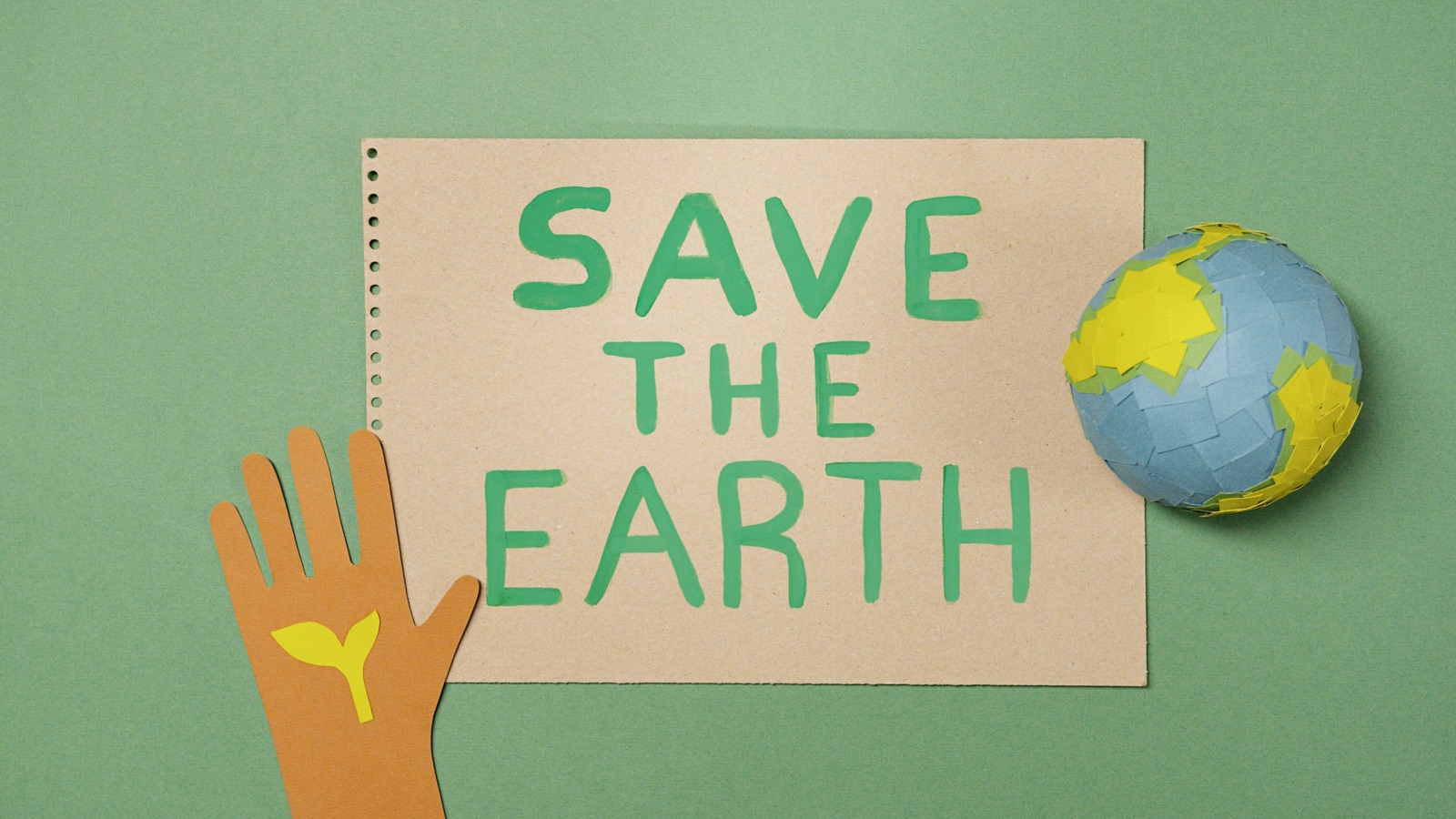 Corporate environmental impact projects