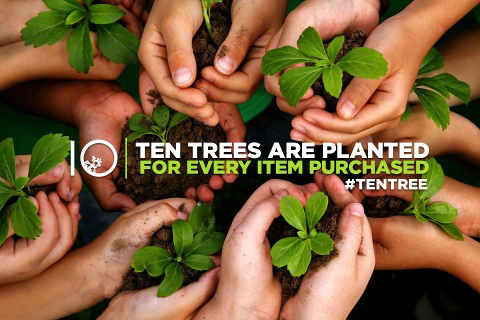 tentree tree planting and sustainability initiative