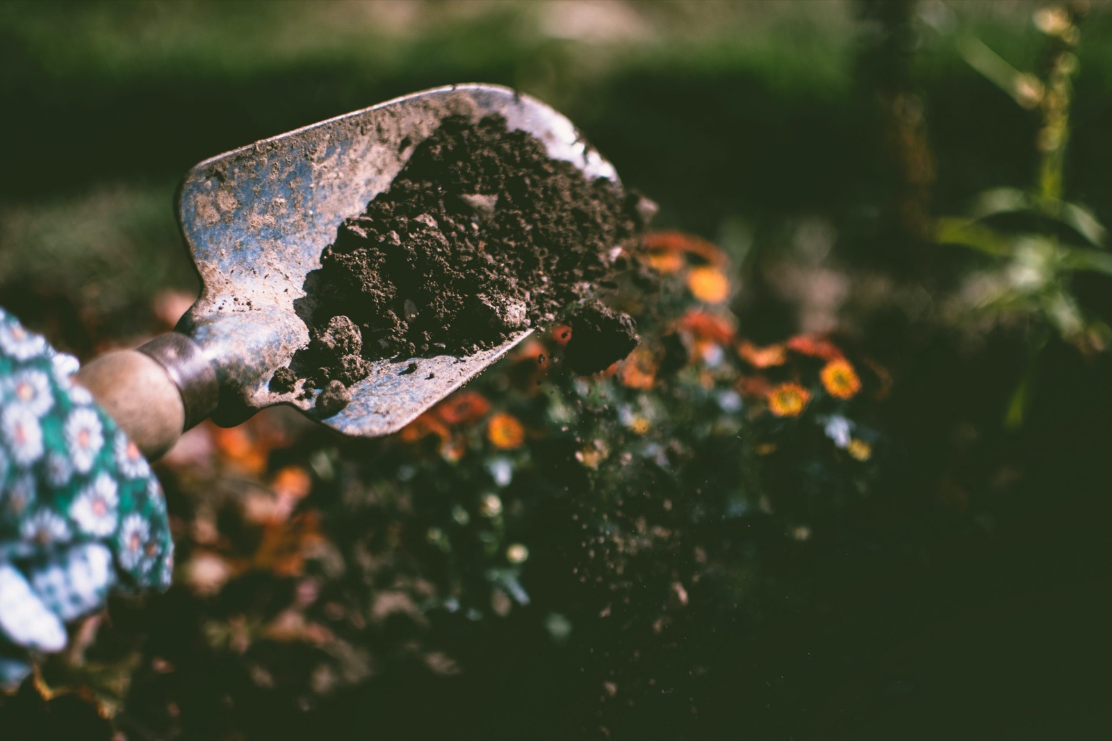 Home composting of organic waste