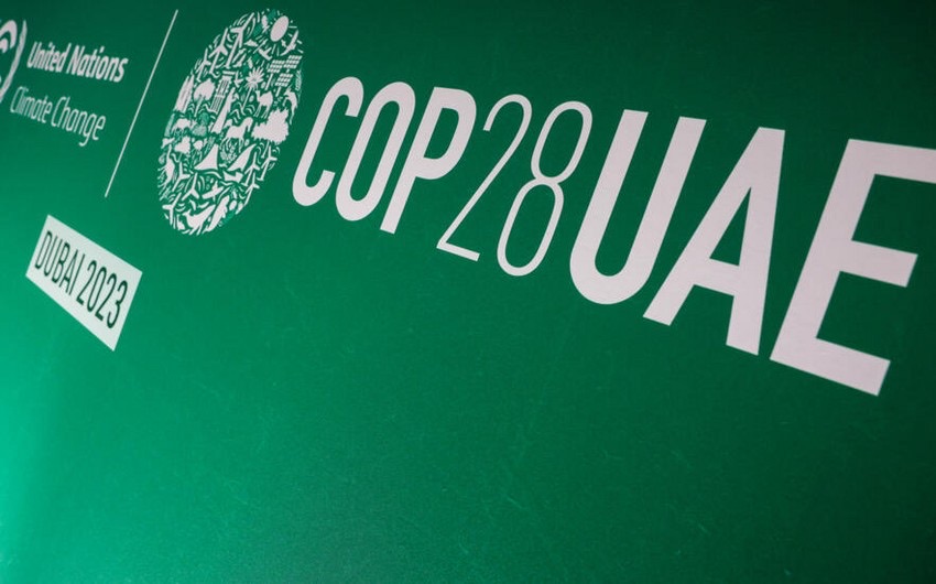 The COP28 climate summit in Dubai