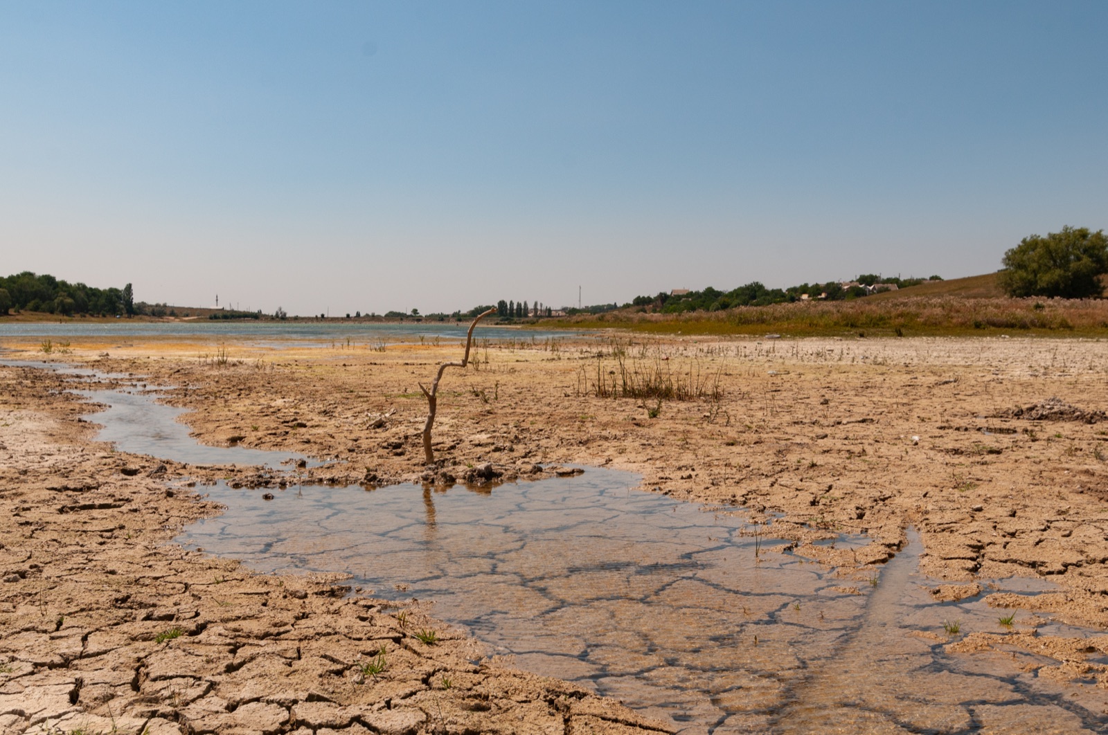 Cracked, drought-stricken earth