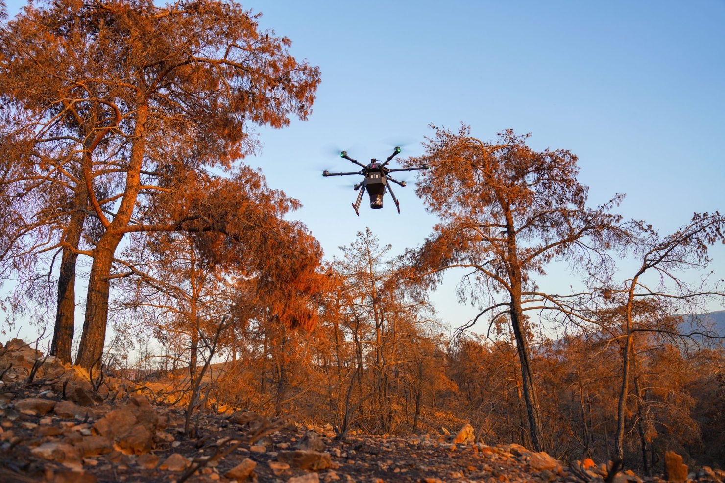 ecoDrone delivering seed balls for ecosystem restoration