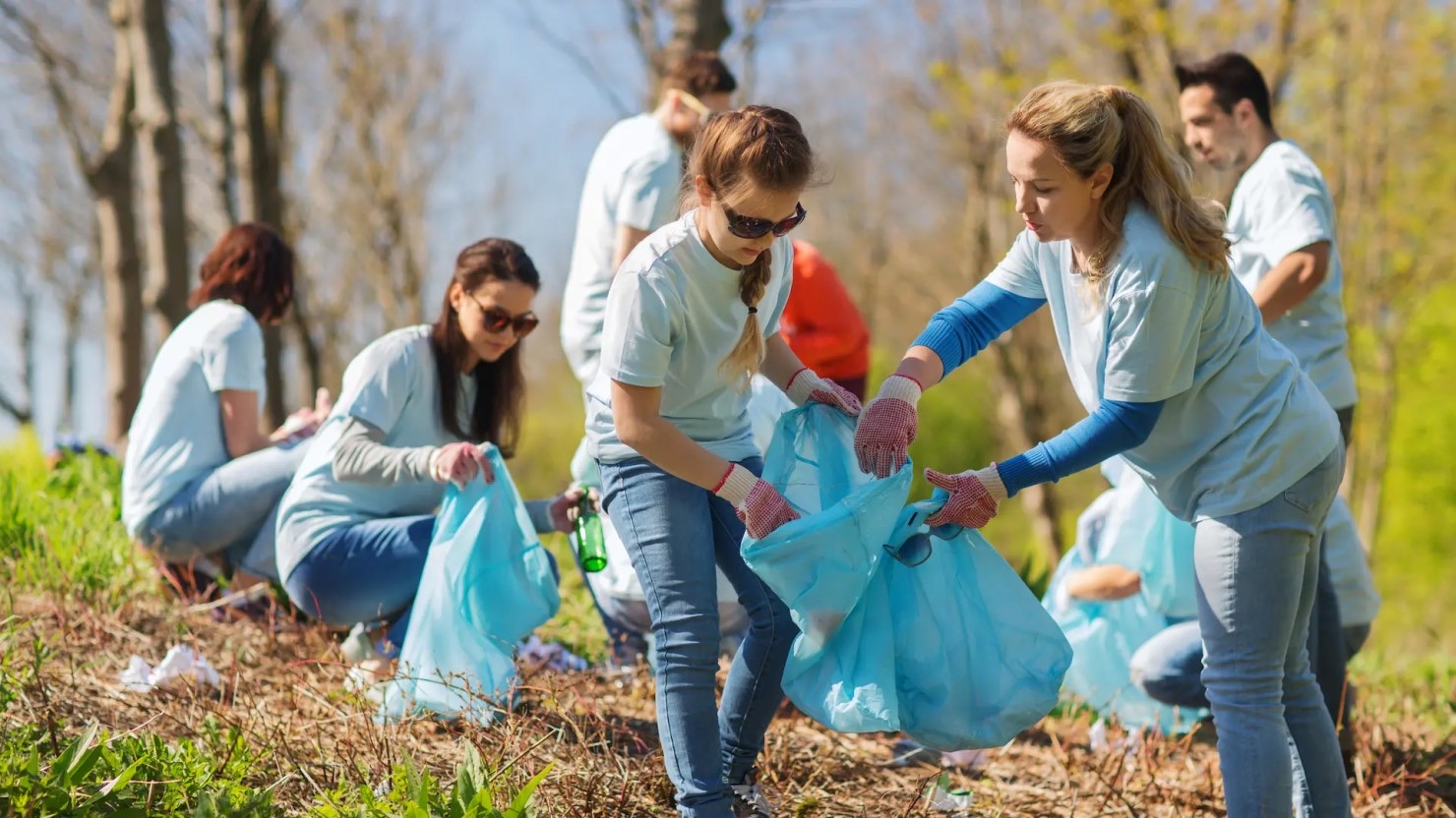 Employees taking part in a corporate volunteering program
