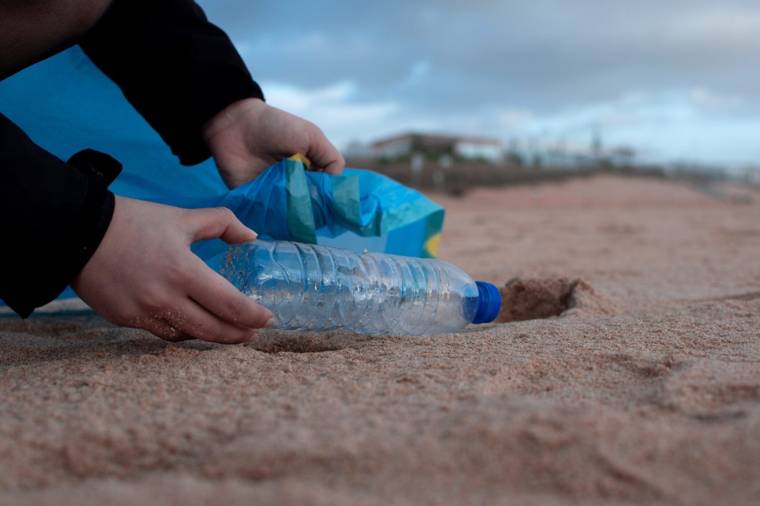 Environmental impact on the natural world