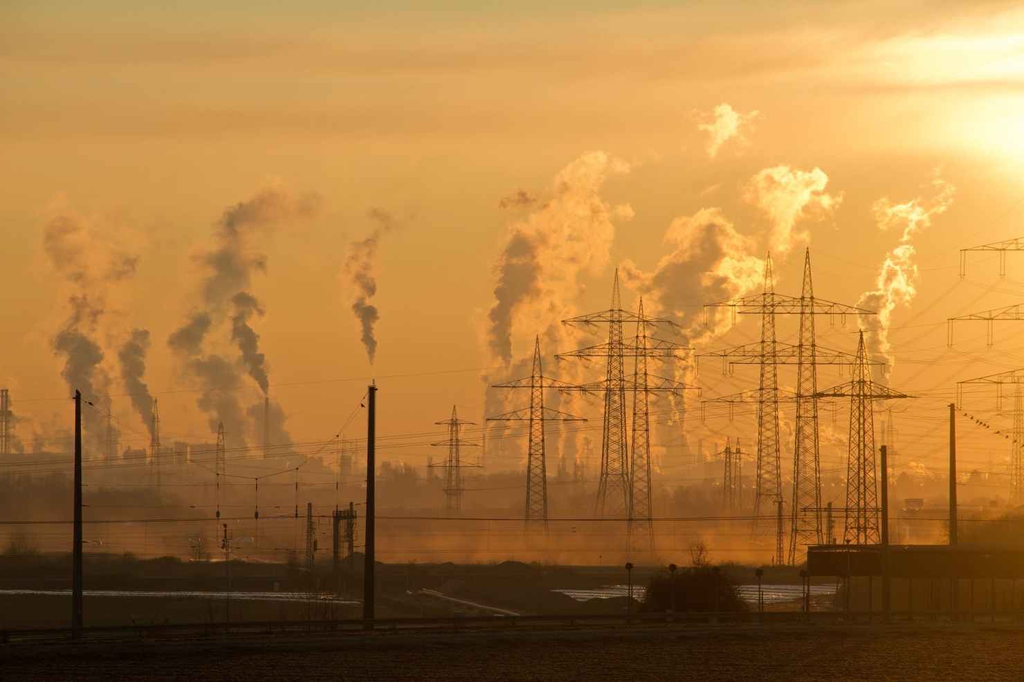 Nature affected by corporate environmental impact