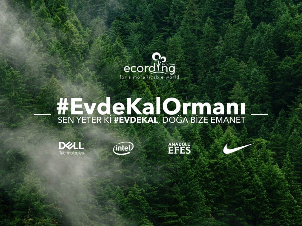 #EvdeKalOrmanı | 24.833 Paylaşımla Yarınlara Umut Olmak
