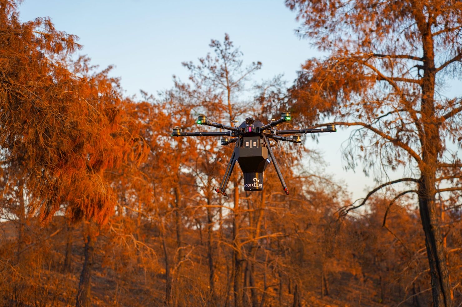 ecoDrone aerial seeding for forest restoration