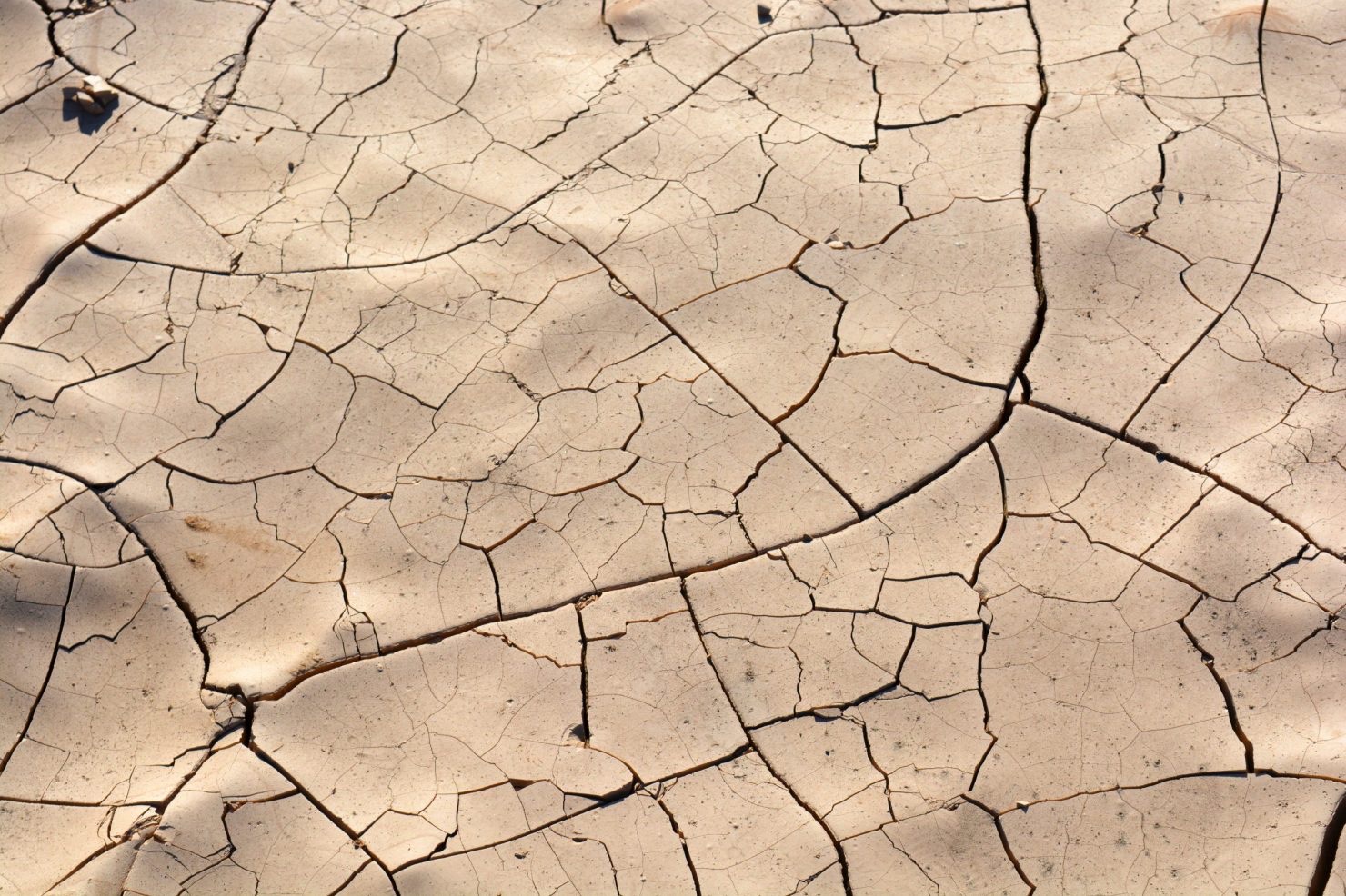 Cracked, drought-stricken earth