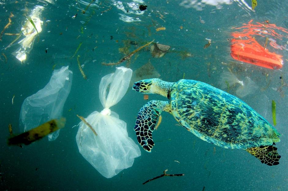 Okyanustaki plastik kirliliği