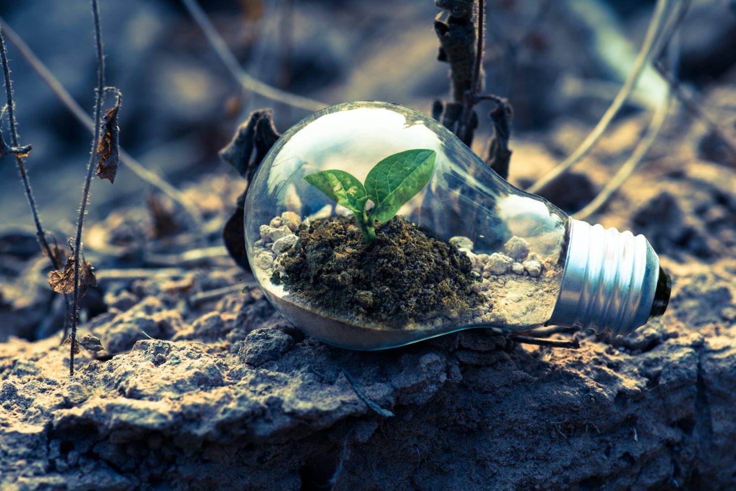 Yenilenebilir enerji, satın alınan elektrik emisyonlarını azaltır
