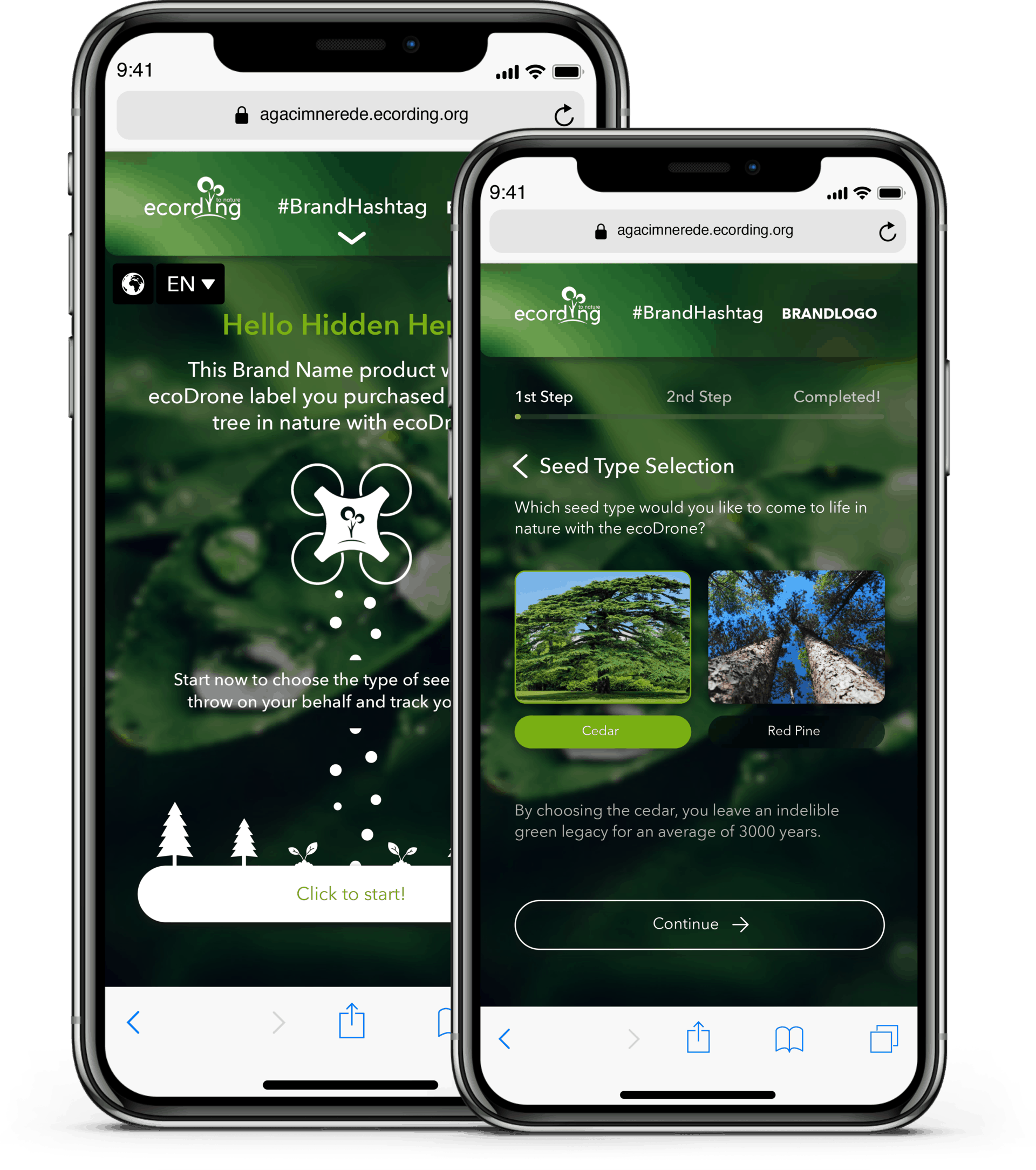 Brands And Companies