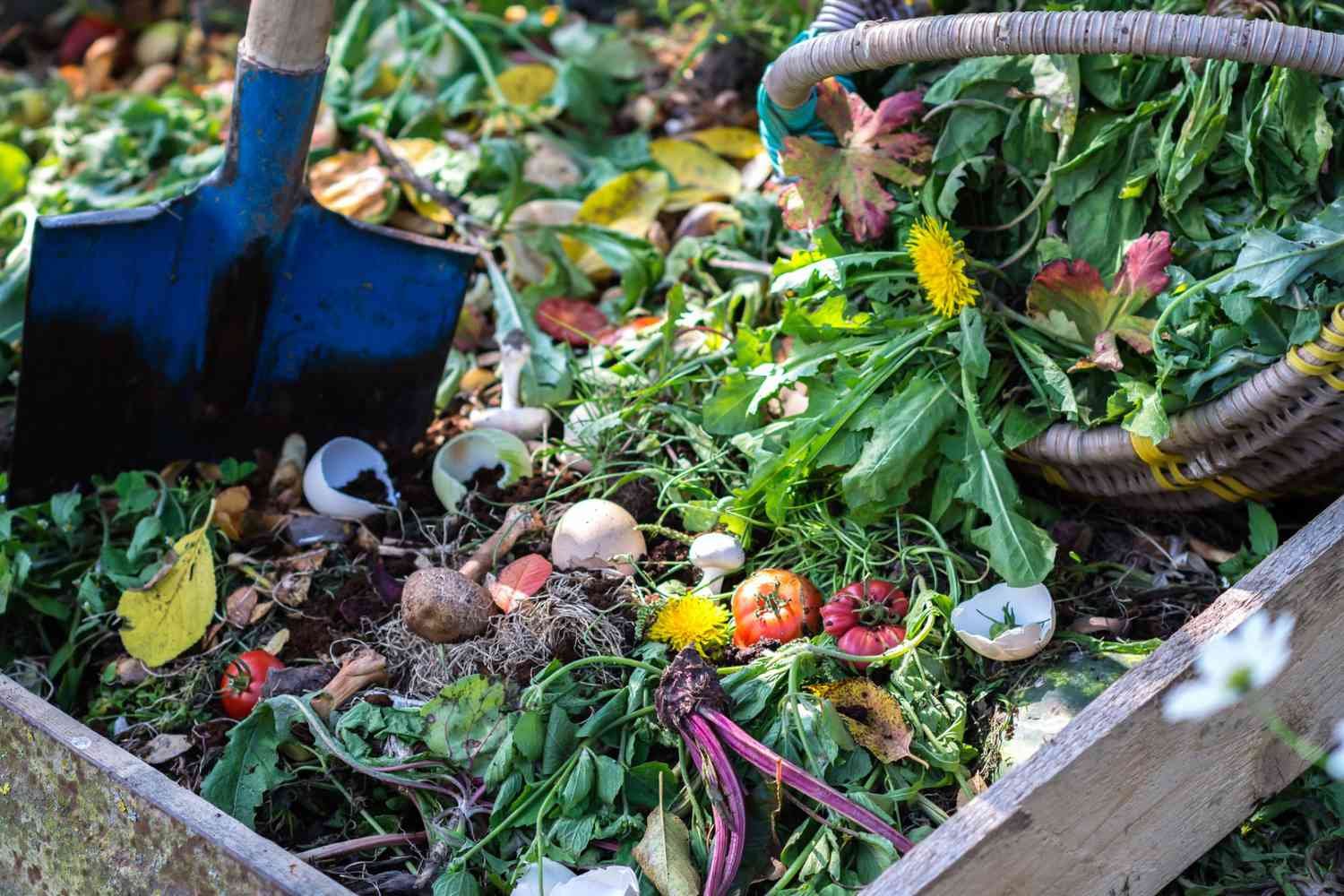 Compost 101: What is Compost and Where to Start? | ecording