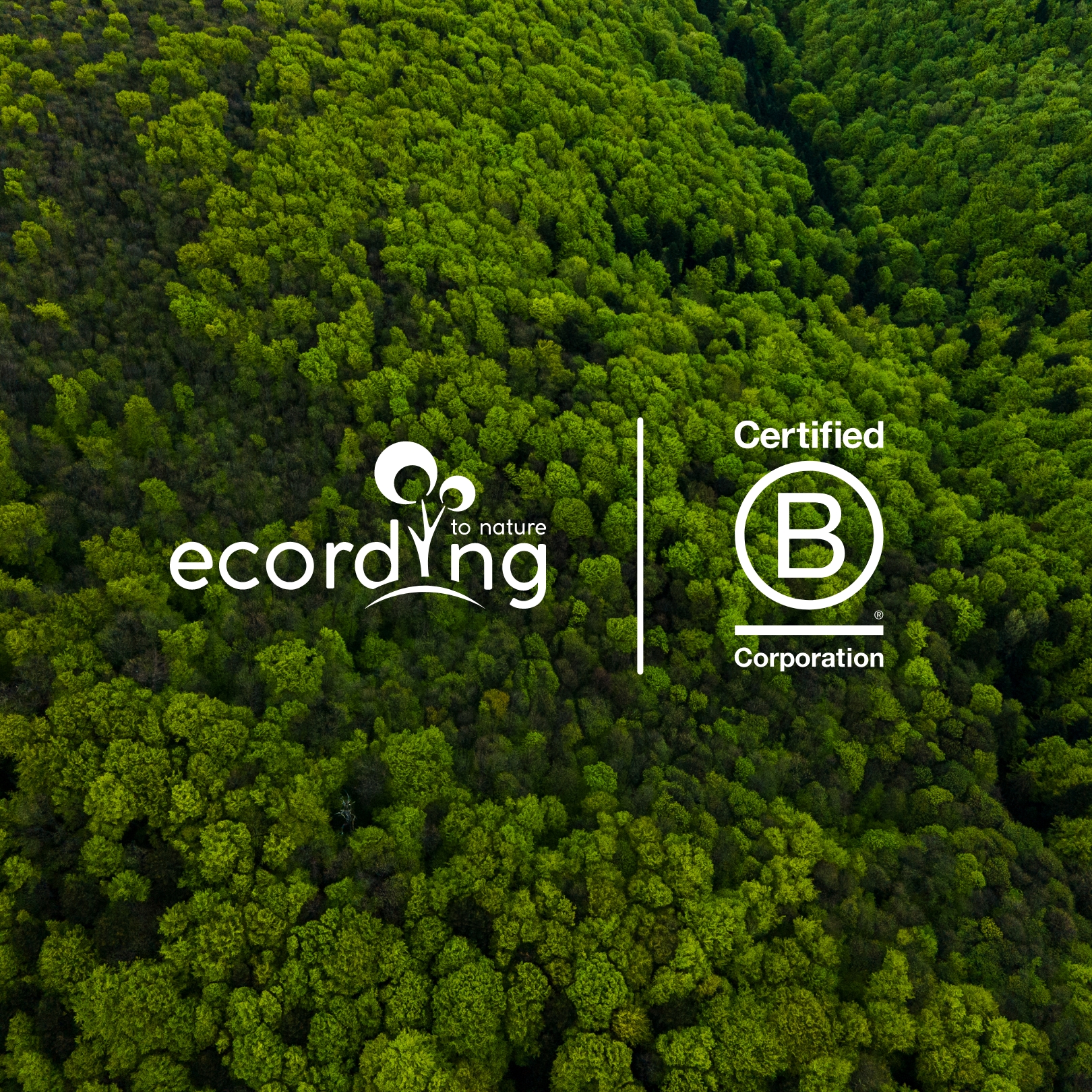 Ecording preview